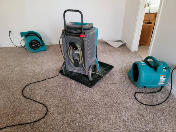 Best Water damage restoration specialists  in Eagle Lake, WI