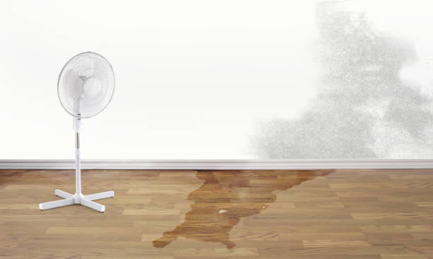 Water damage restoration experts in Eagle Lake, WI