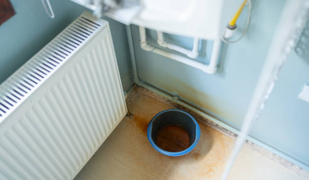 Best Ceiling water damage repair  in Eagle Lake, WI