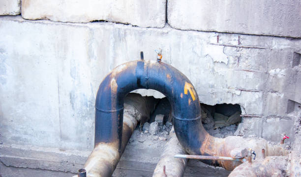Best Mold removal after water damage  in Eagle Lake, WI
