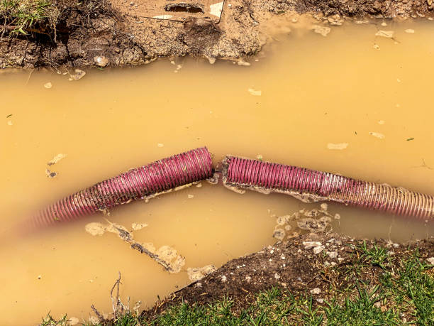 Best Water damage restoration cost  in Eagle Lake, WI